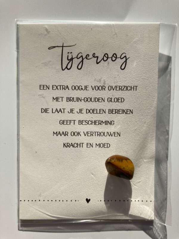 Steen Tijgeroog